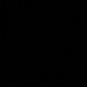 Meet your Posher, Savannah